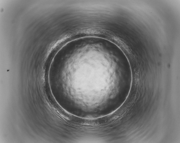 X0000087530727200705041237