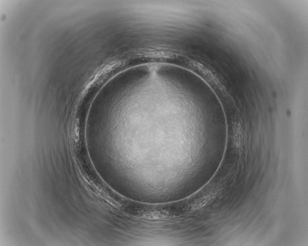 X0000087530731200705041237