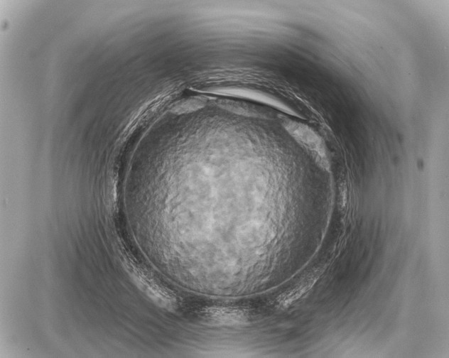 X0000087530733200705041237