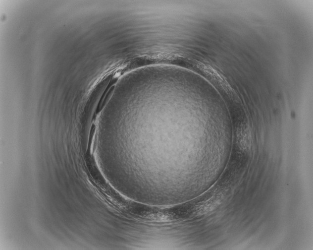 X0000087530735200705041237