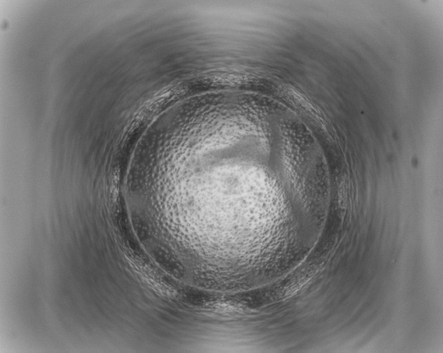 X0000087530737200705041237