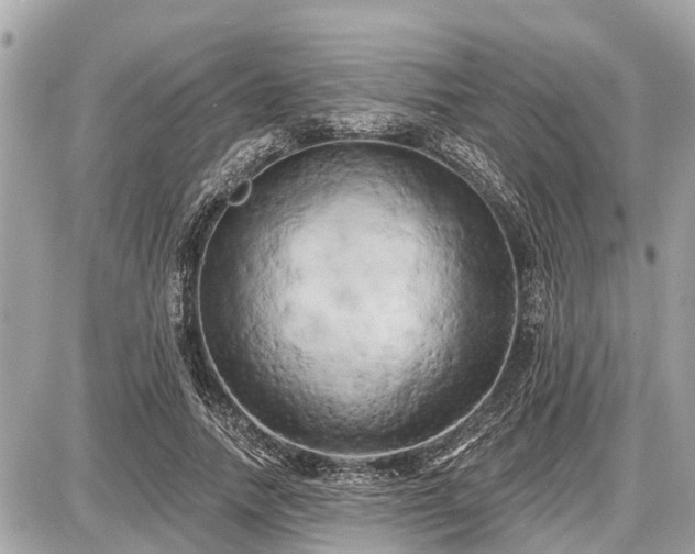 X0000087530738200705041237