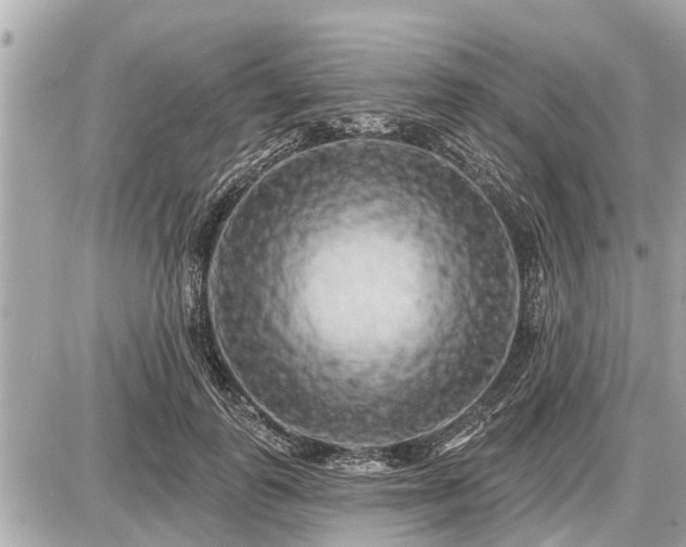 X0000087530747200705041237
