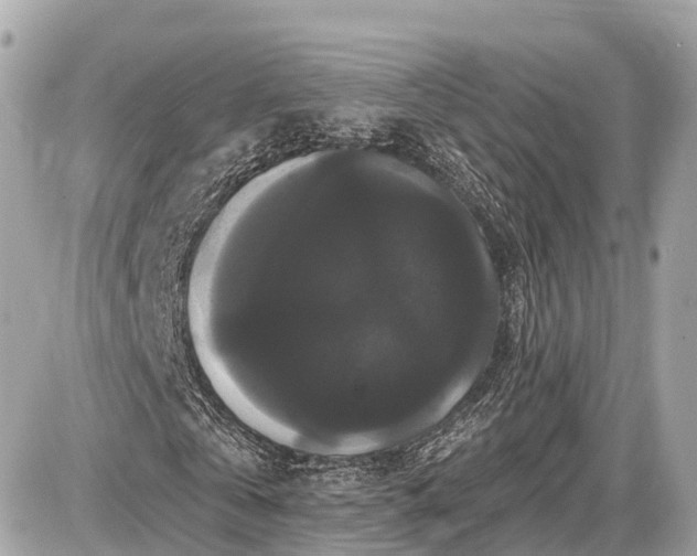 X0000087530769200705041237
