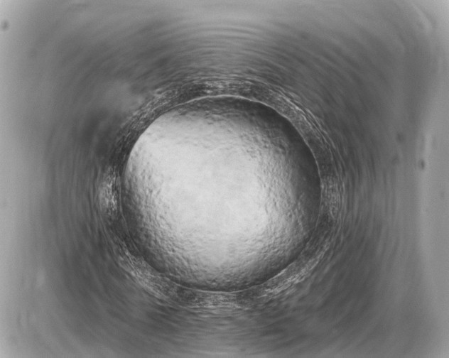 X0000087530770200705041237