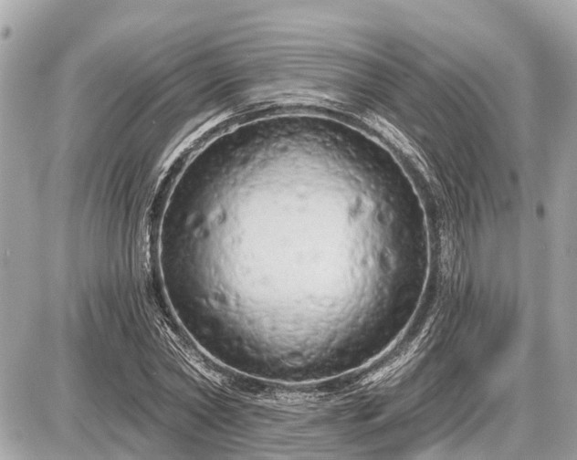 X0000087530782200705041236