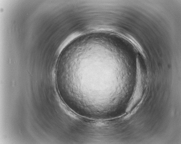 X0000087530814200705041236