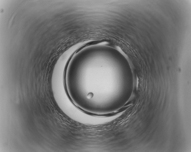 X0000087530818200705041235