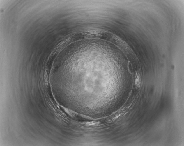 X0000087530819200705041235