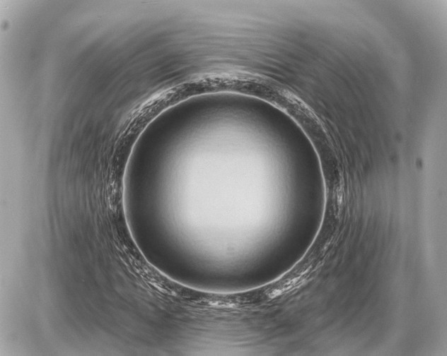 X0000087530822200705041235