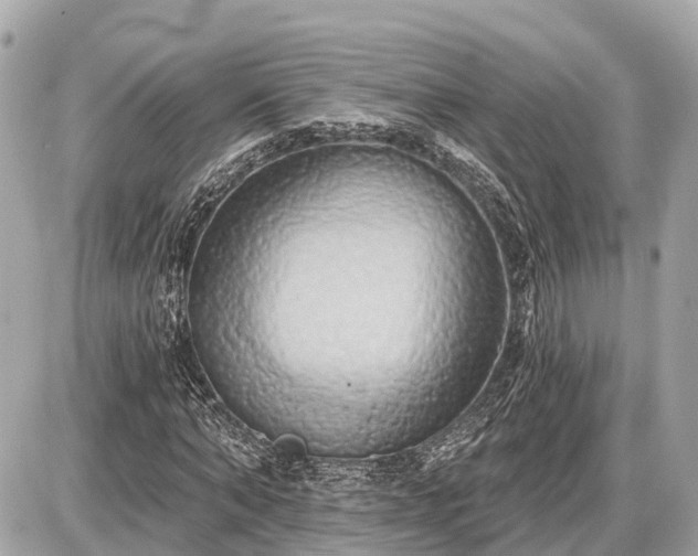 X0000087530870200705041235