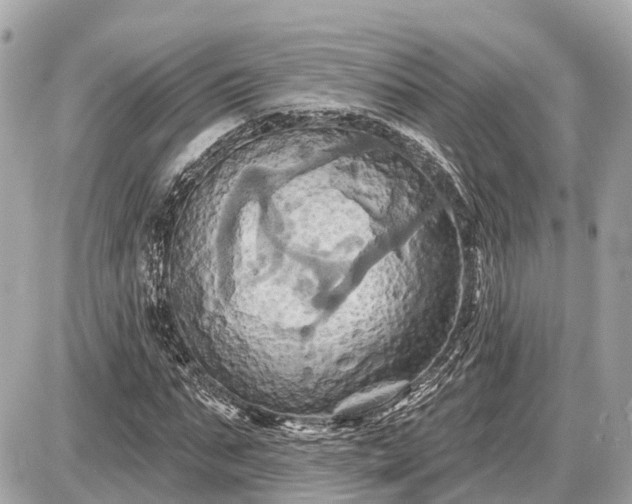 X0000087530871200705041235