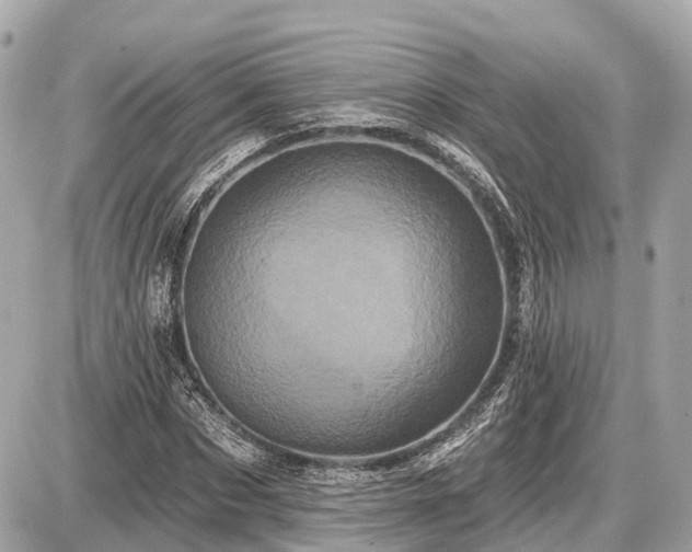 X0000087530873200705041235