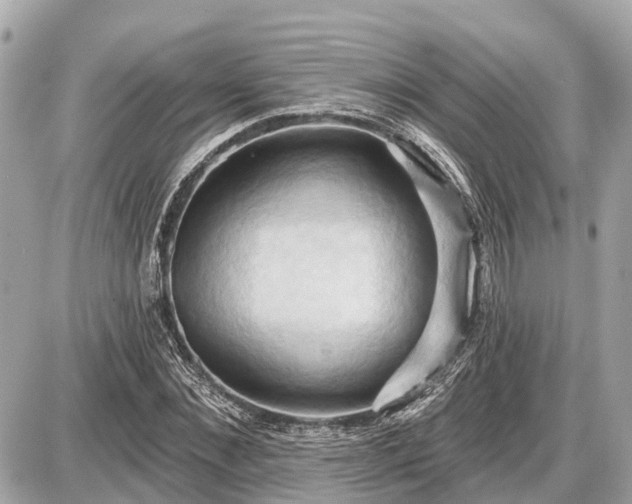 X0000087530876200705041235