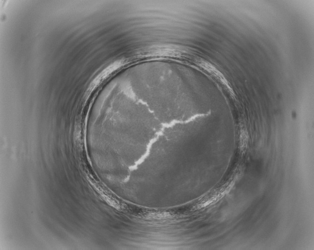 X0000087530882200705041235
