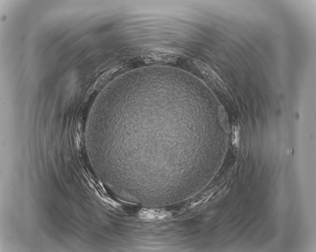 X0000087530915200705041234