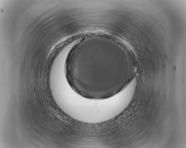 X0000087530920200705041234
