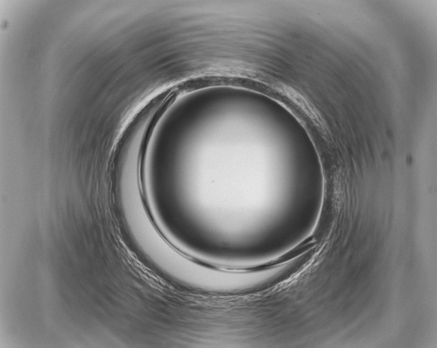 X0000087530926200705041234