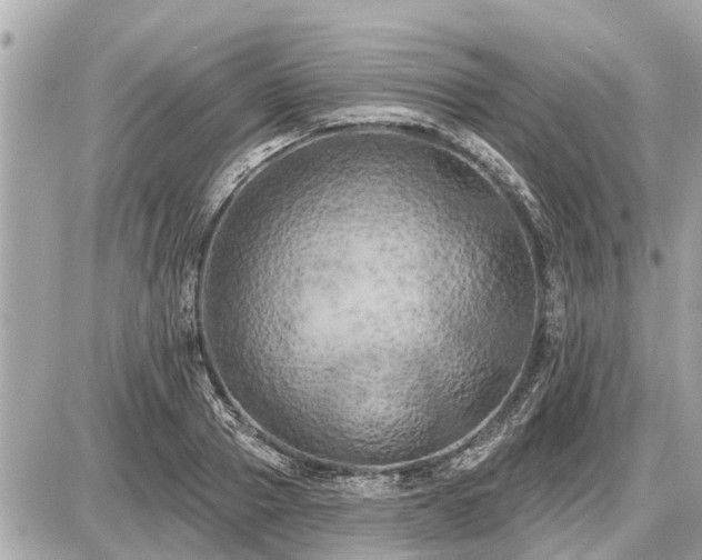 X0000087530937200705041234
