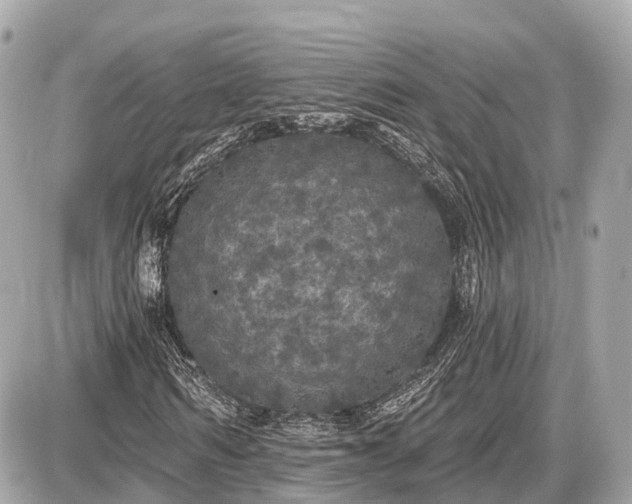 X0000087530962200705041234