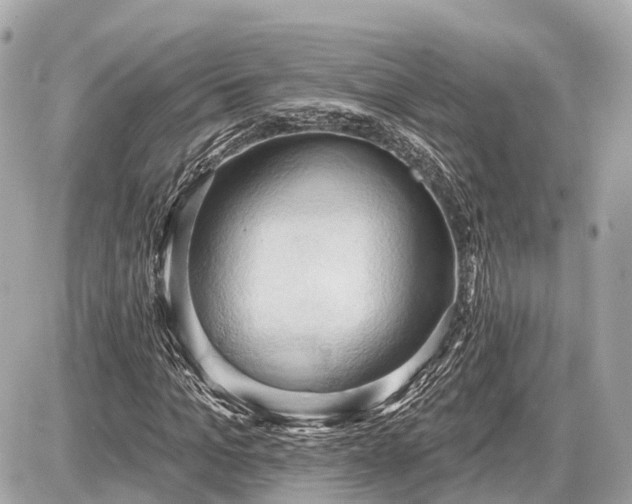 X0000087530965200705041233