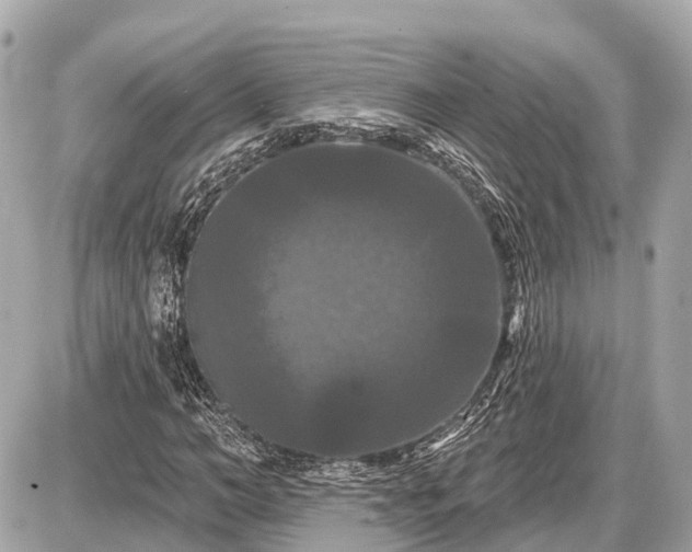 X0000087530966200705041233
