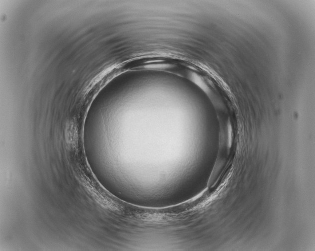 X0000087530969200705041233