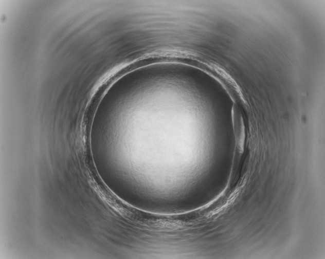 X0000087530981200705041233