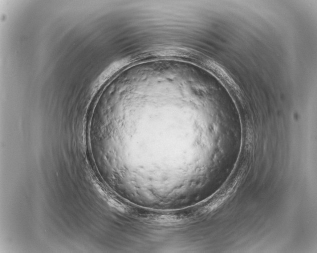 X0000087530986200705041233