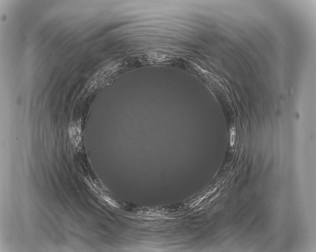 X0000087531011200705041232