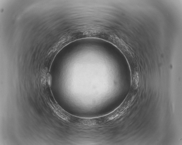X0000087531012200705041232