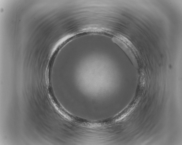 X0000087531030200705041232