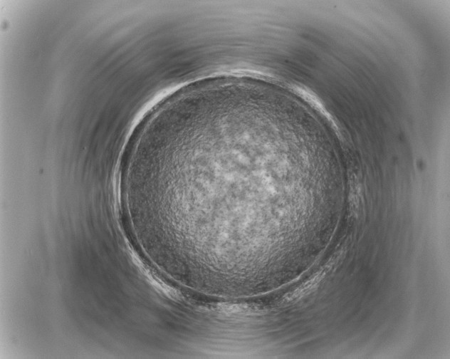 X0000087531032200705041232