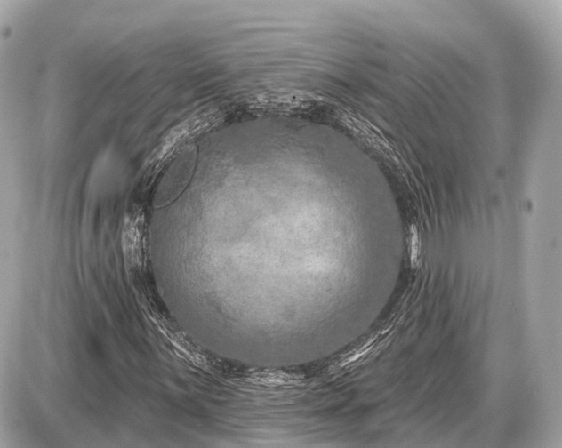 X0000087531059200705041232