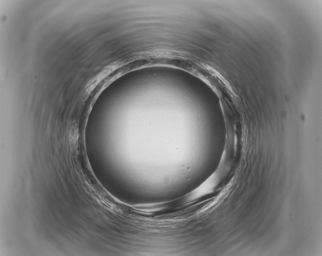 X0000087531065200705041232