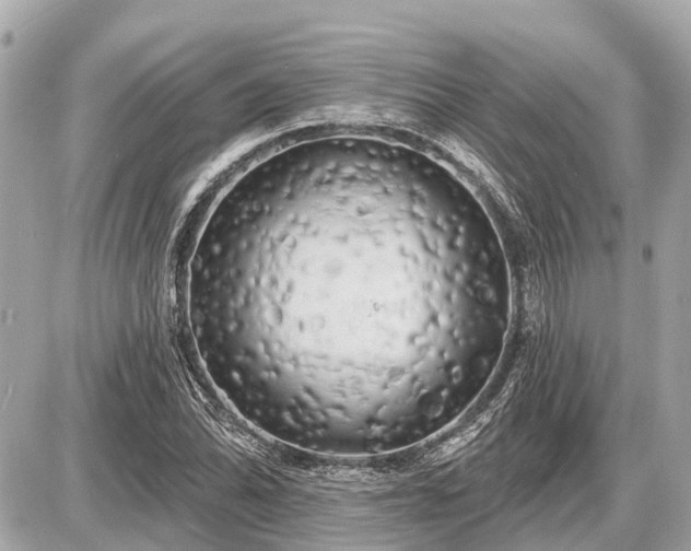 X0000087531070200705041232
