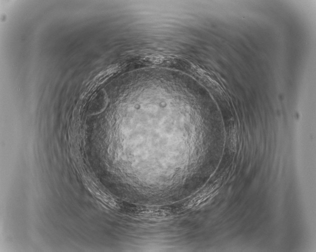 X0000087531105200705041230