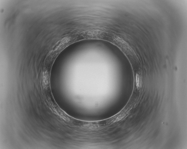 X0000087531107200705041230