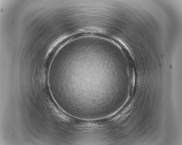 X0000087531115200705041231