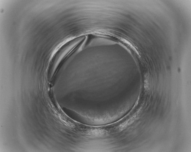 X0000087531117200705041231