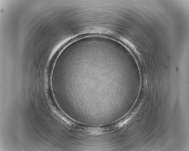 X0000087531120200705041231