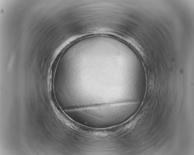 X0000087531126200705041231