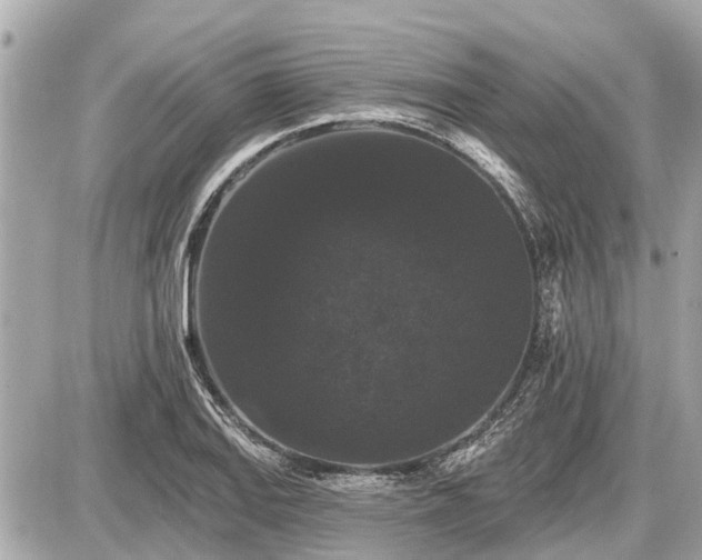 X0000087531127200705041231
