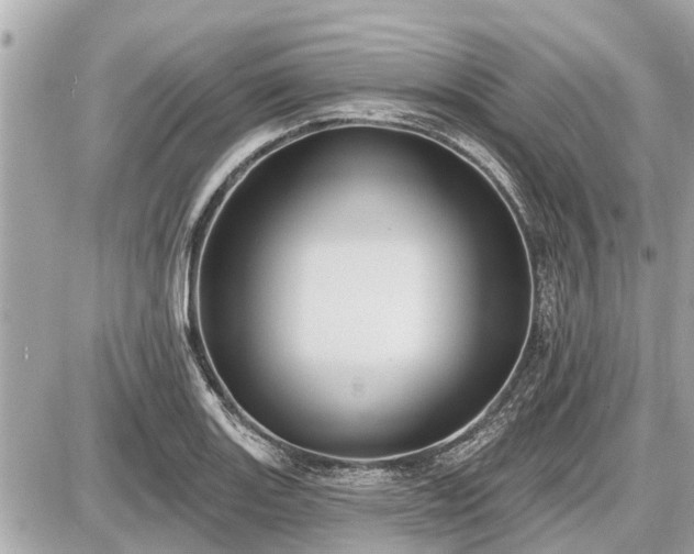 X0000087531131200705041231