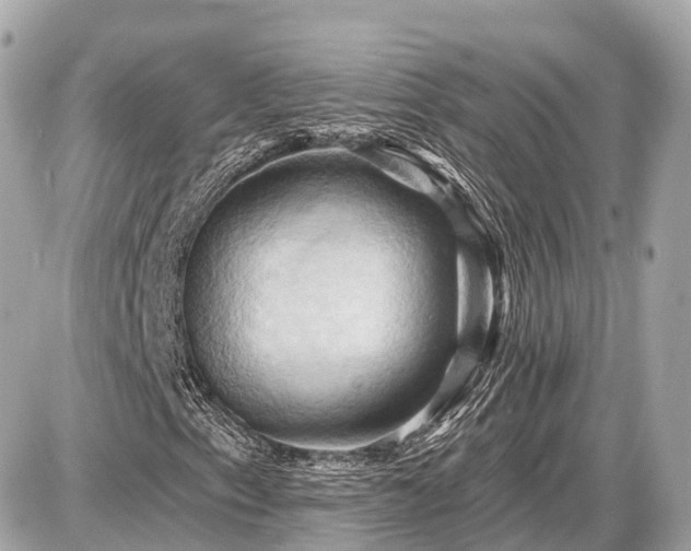 X0000087531153200705041230