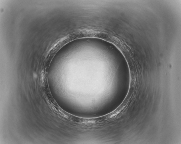 X0000087531157200705041230