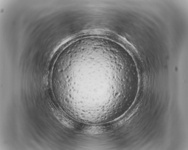 X0000087531166200705041230