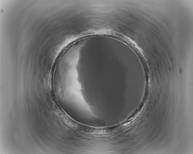 X0000087531174200705041230