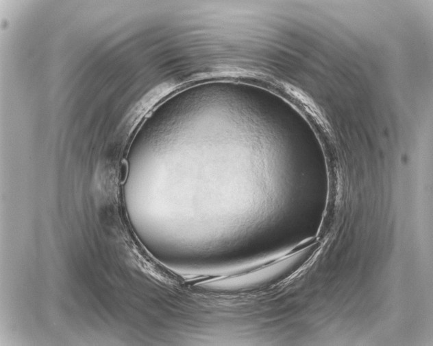 X0000087531177200705041230