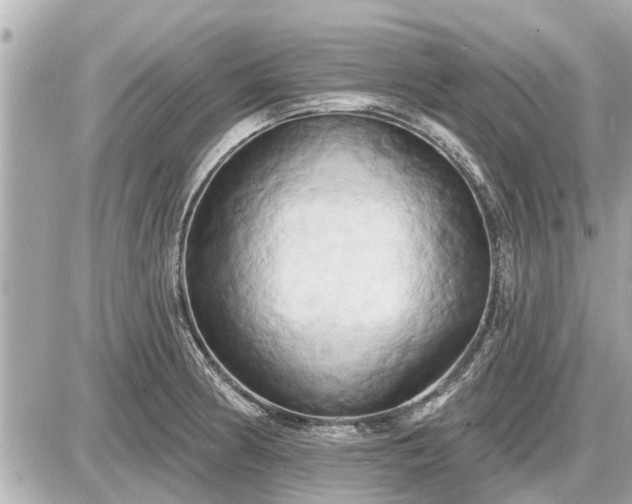 X0000087531186200705041230
